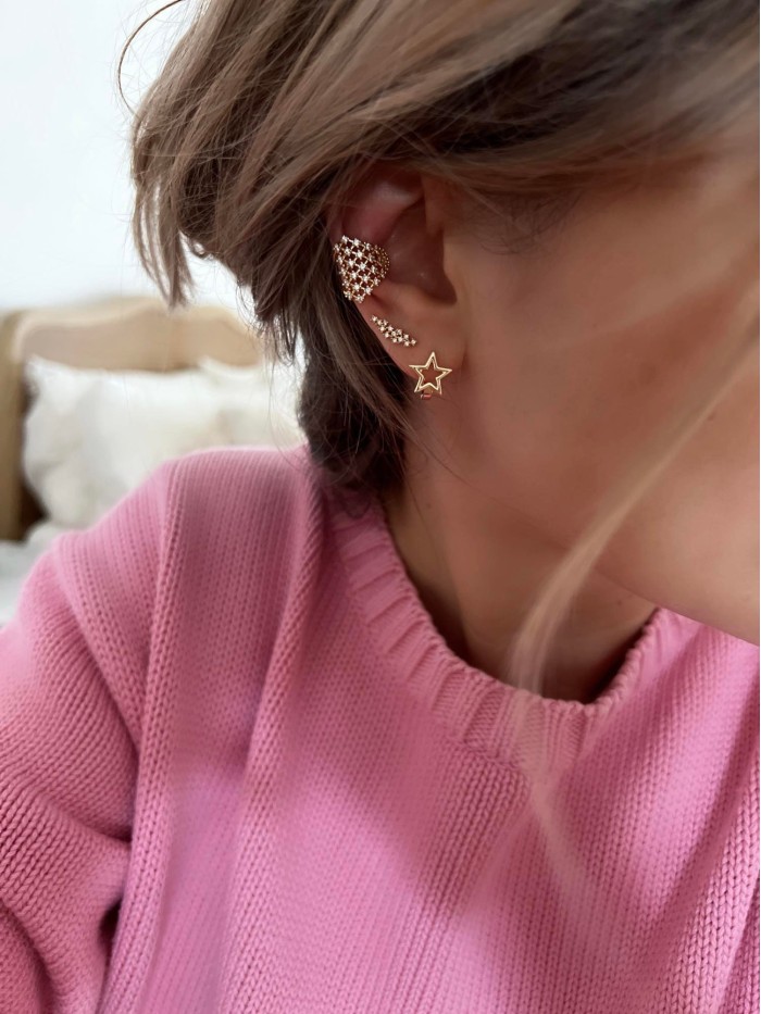 Earrings North
